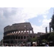 Abed Neggar's photo