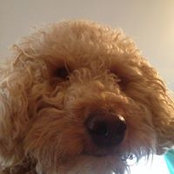 Kelly Ott's photo