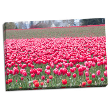 Fine Art Photograph, Pink Tulip Hill, Hand-Stretched Canvas