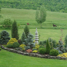 garden ideas
