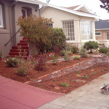 New Drip System, Planting and Mulch in San Francisco