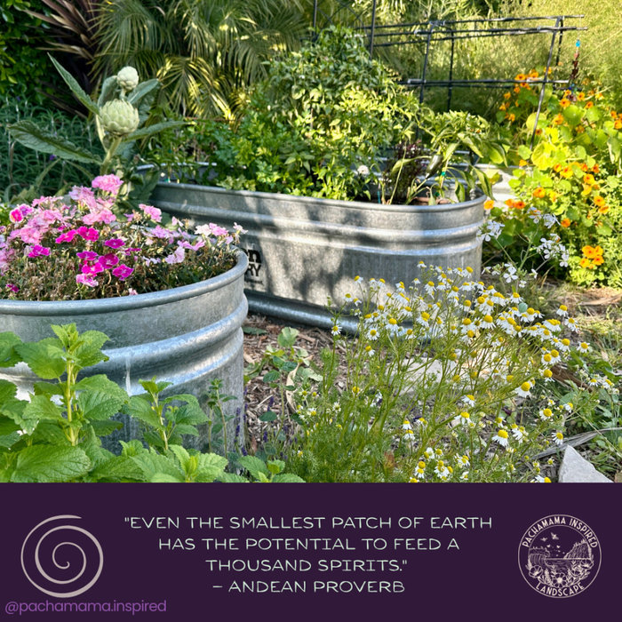 raised bed garden with andean proverb even the smallest patch of earth has the potential to feed a thousand spirits