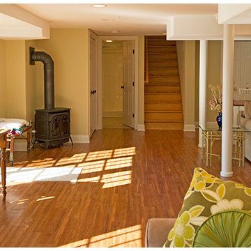 Basement Finishing