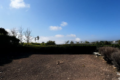 Inspiration for a modern landscaping in San Diego.