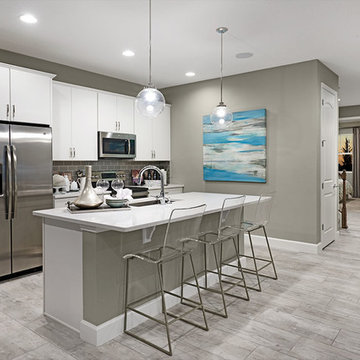 Moonstone model home in Florida