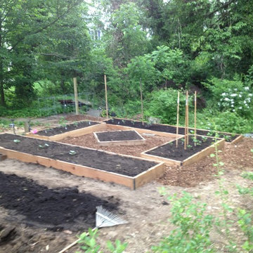 Renovation