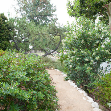 Blooming Privacy Screen