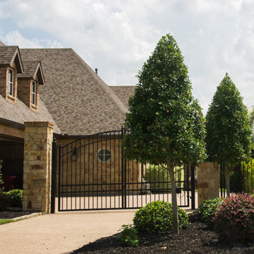 Evergreen Trees & Shrubs
