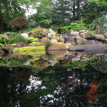 Natural Koi Pond with bridges that you walk across going to the front door.