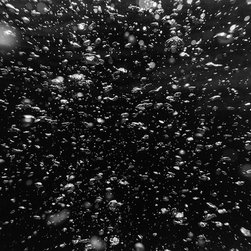 Bubbles in Black by Joel Coleman - Photographs