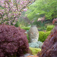 Landscape Ideas