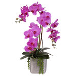Jenny Silks - "Real Touch" Purple Beauty Orchid and Succulent Arrangement - Experience elegance in your decor by making this real touch orchid arrangement your own. Every petal feels real and soft to the touch. The beauty of the orchid is in the petals and this silk floral is no different. Delicate beauty. Vibrant strength. Transform your office, bedroom or bathroom into a luxurious & vibrant space. Enjoy the serenity and energy that exudes from the orchid as it welcomes you into its loveliness. The fuchsia blossoms pair with the life-like jewel toned leaves, the bamboo pole that secures the arrangement and the moss that protects its entirety. Finishing the arrangement is the etched, ceramic cube that effortlessly marks each display as artful and classy. This timeless silk floral arrangement is the perfect piece to communicate peace and beauty in your home, office or as a gift.