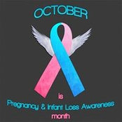 Sarah Knoke's photo
