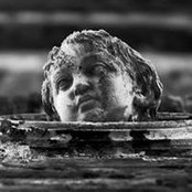 Joachim Blobel's photo