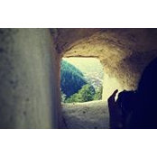 Florentina Dumitru's photo