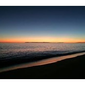 Nemo Waggoner's photo