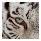 Cory Severson's photo