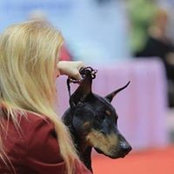 Missy Timken's photo