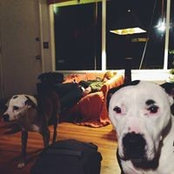 Karl Beheim's photo