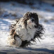 Nataša Čok's photo
