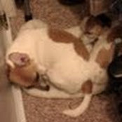 Shona Bathurst's photo