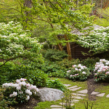 moss garden