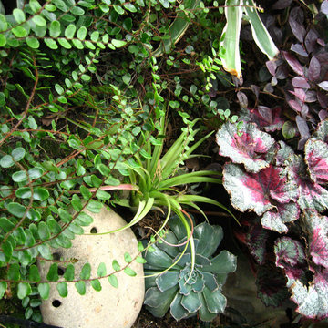 Garden for Reflection and Awareness