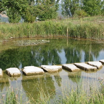 BioNova Natural Swimming Pools - International