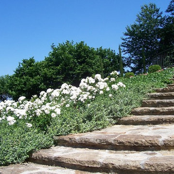Giardino Per ristorante