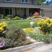 garden photos/ yard