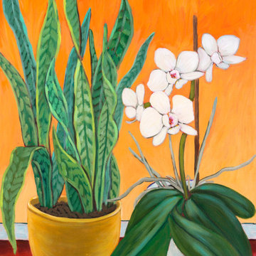 Bogenhanf und Orchidee