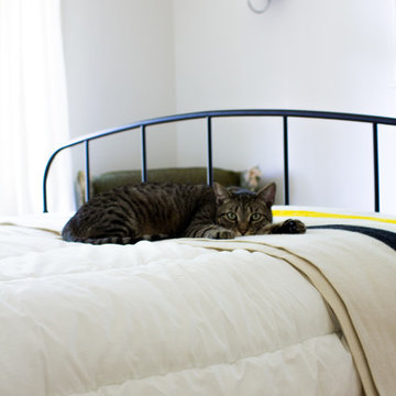 My Houzz: Cozy Charm for Newlyweds in Seattle