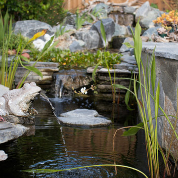 Xeriscape Landscape  - Lush Green with Low-Water Plants