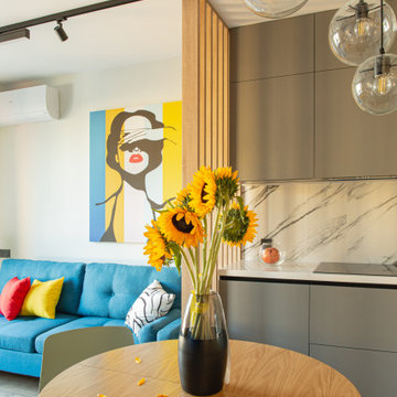 Vibrant Harmony in a Modern Apartment
