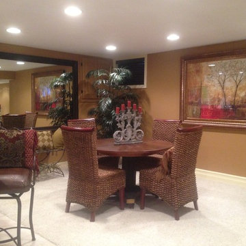 Finished Lower Level / Basement