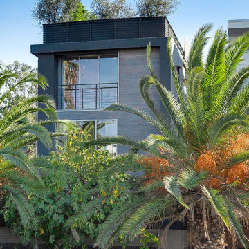 Venice Beach architectural modern with rooftop deck