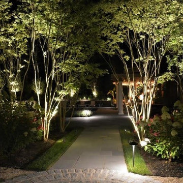 Landscape In the Hamptons