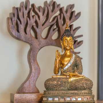 Coral Zen