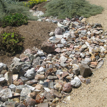 Sustainable Fullerton Garden Makeover