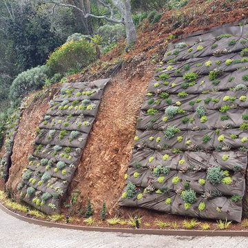 Garden Design