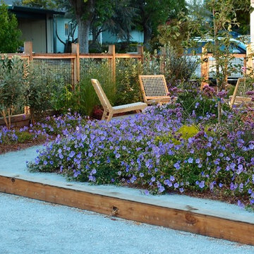 Marin Front Yard Bocce and Edible Garden