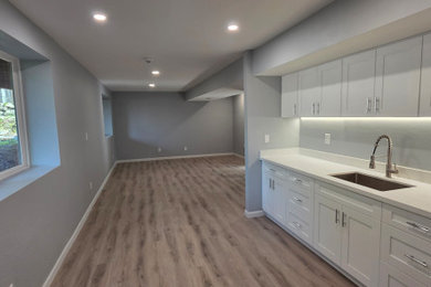Basement Remodel