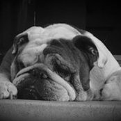 Glenna Hanna's photo