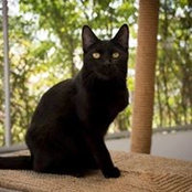 Cilla Weaver's photo