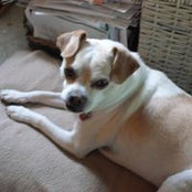 Susan Jackson's photo