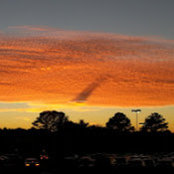 Monica Bowles's photo