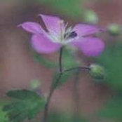 Jamie Smith's photo