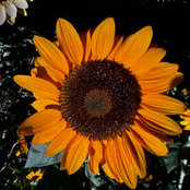 Maxine S's photo