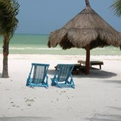 Amandine Schaeffer's photo