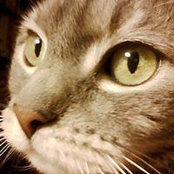 Stephanie Bateman's photo